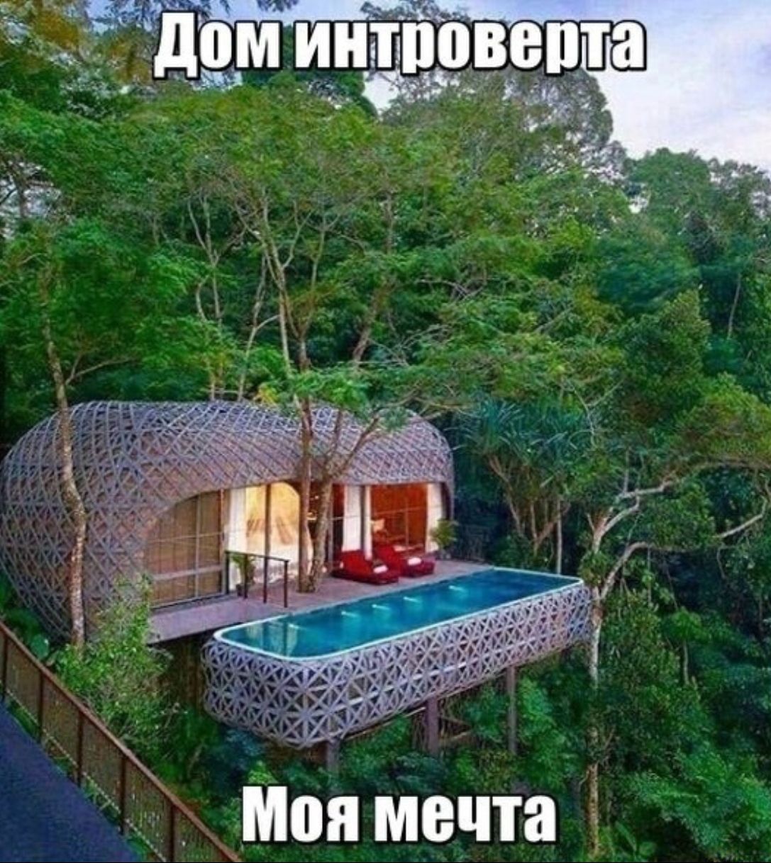 Моя мечта