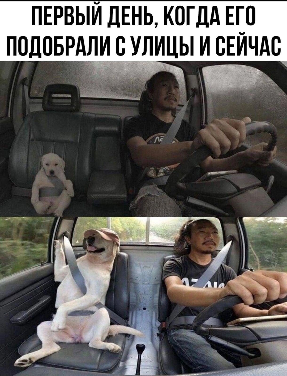ПЕРВЫИ ДЕНЬ кпгдА ЕП ппдоврдли птицы и свйчдс