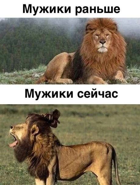 ёё