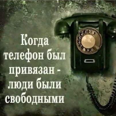 свободными