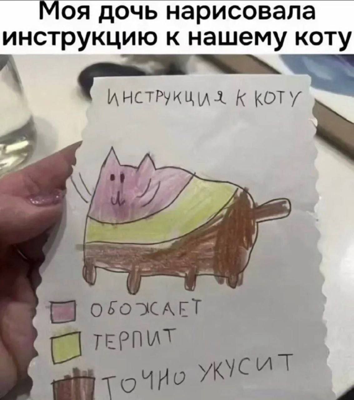 Моя дочь нарисовала инструкцию к нашему коту
ИНСТРУКЦИЯ К КОТУ
обожает
терпит
точно ужасит