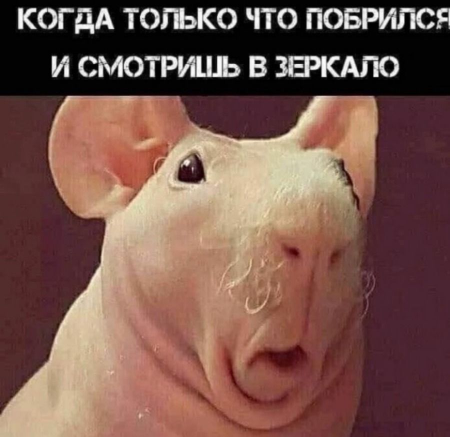 Когда только что побрился и смотришь в зеркало