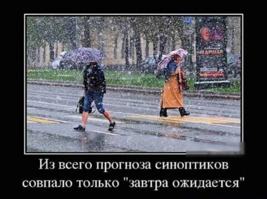 Из всего прогноза синоптиков совпало только 