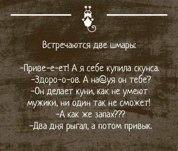 Встречаются две шмары Приве еет А я себе купила скунса Здорооов А науя он тебе Он делает куни как не умеют мужики ни один так не сможет А как же запах Два дня рыгал а потом привык