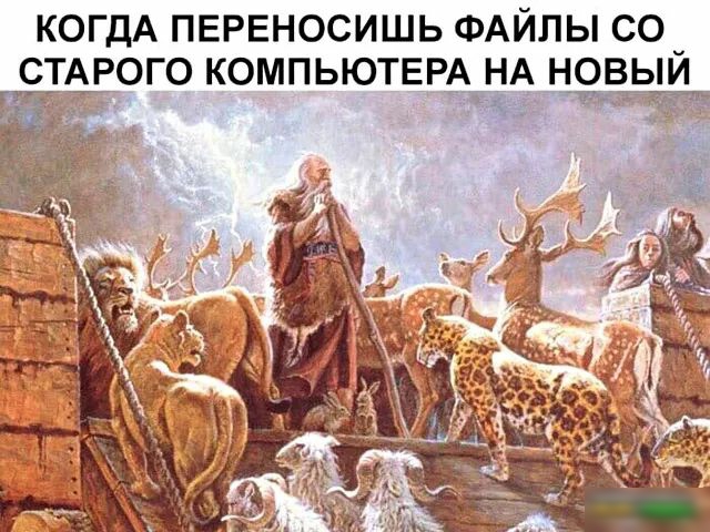 КОГДА ПЕРЕНОСИШЬ ФАЙЛЫ СО СТАРОГО КОМПЬЮТЕРА НА НОВЫЙ