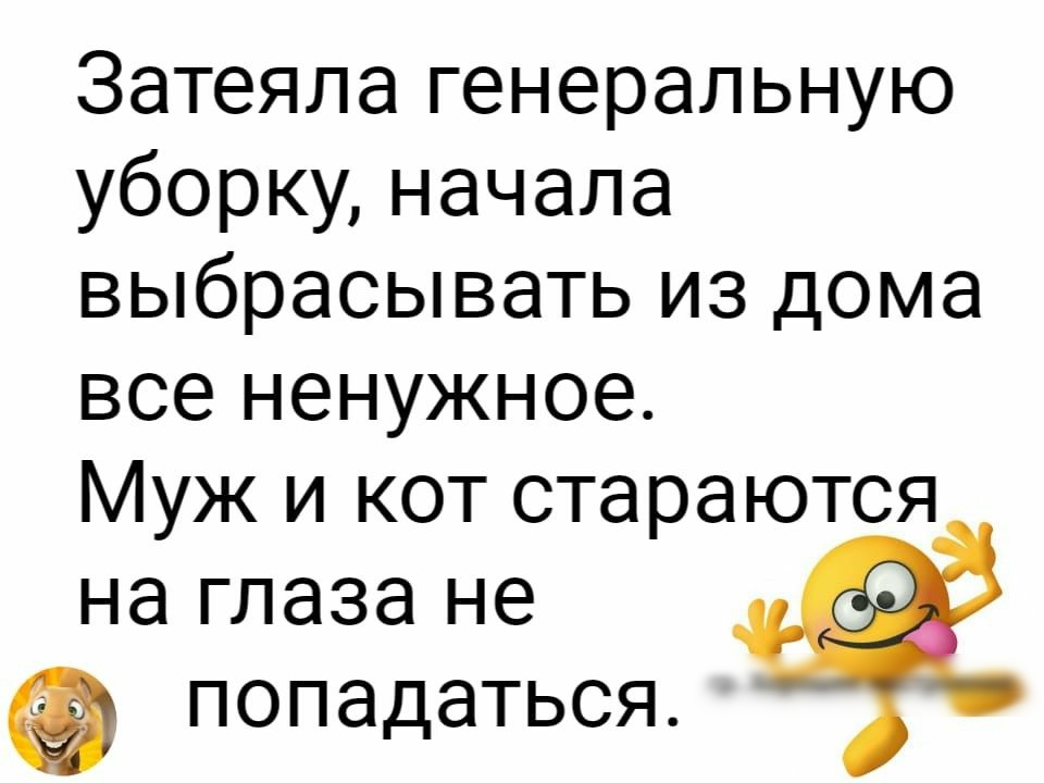 Затеяла генеральную уборку начала выбрасывать из дома все ненужное Муж и кот стараются на глаза не попадаться