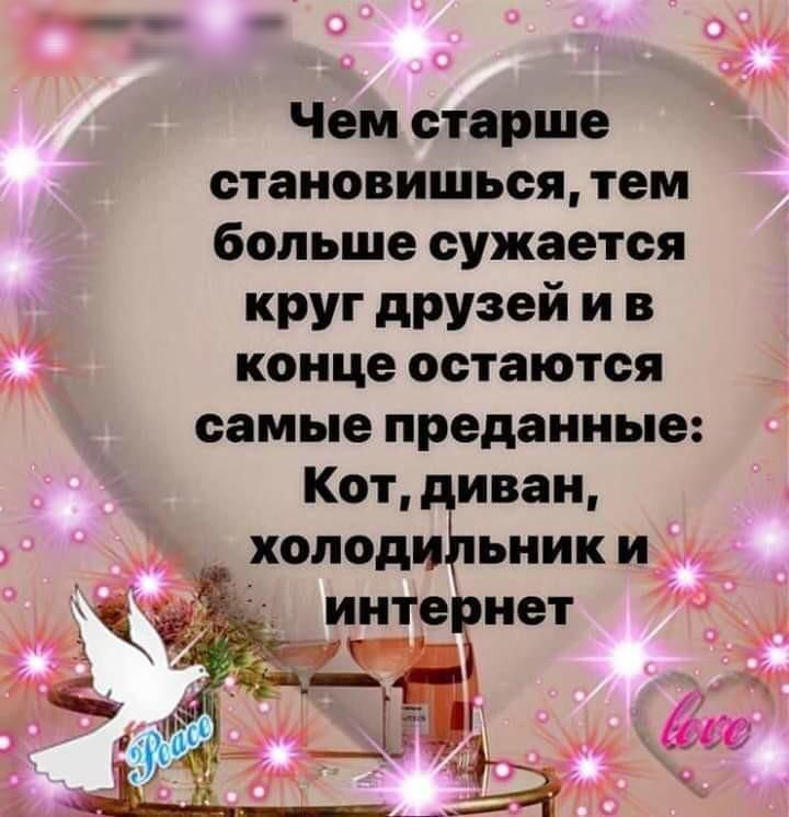 д Чем старше становишься тем больше сужается круг друзей и в конце остаются самые преданные Кот иван холоди ьники _ і 2 Зі __ С интетнет