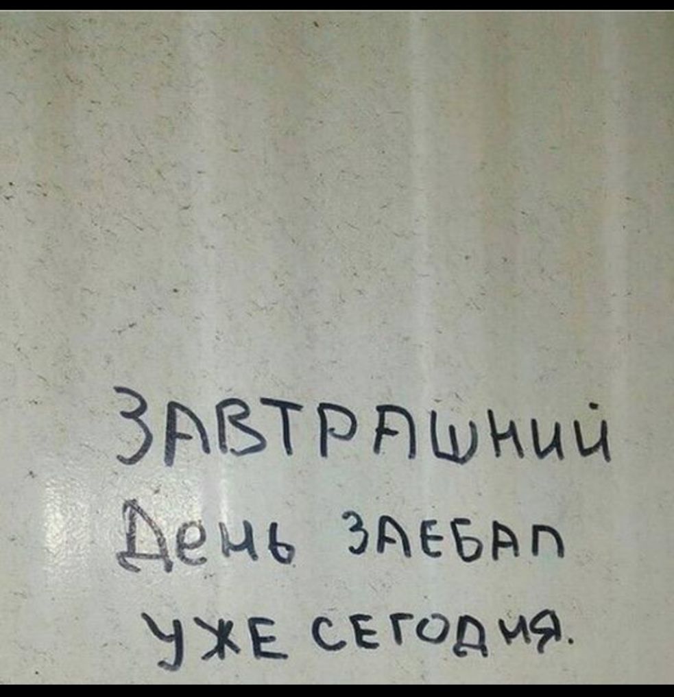 ЗРЁТРНШМЫЦ м Аь Эдеъд п ЗЖЕ СЕ го9