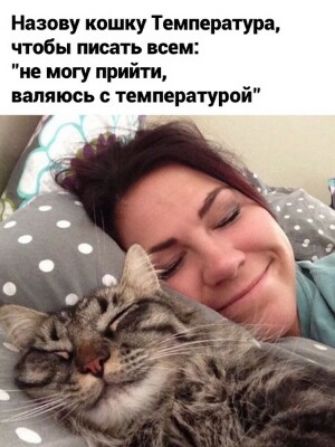 Назову кошку Температура чтобы писать всем не могу прийти валяюсь с температурой