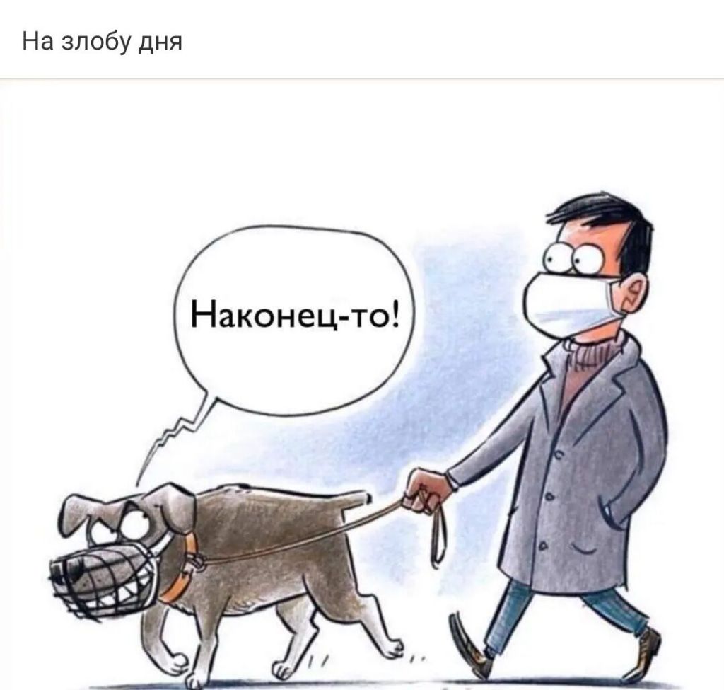 На злобу дня
