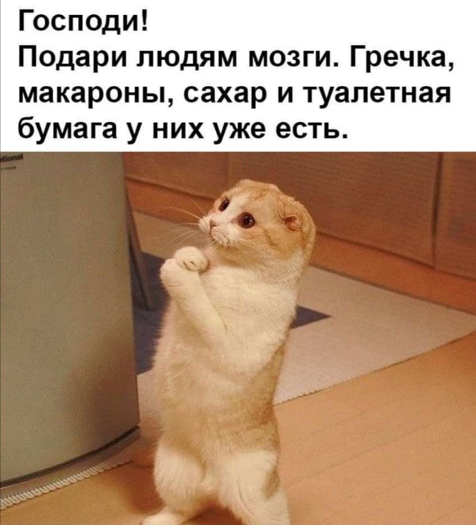 Господи Подари людям мозги Гречка макароны сахар и туалетная бумага у них уже есть