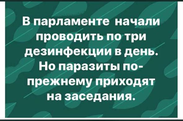 В парламенте начали проводить по три дезинфекции в день Но паразиты по прежнему приходят на заседания