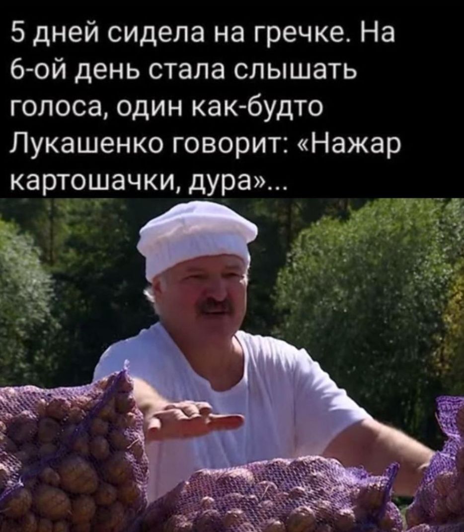 5 дней сидела на гречке На 6 ой день стала слышать голоса один как будто Лукашенко говорит Нажар картошачки дура