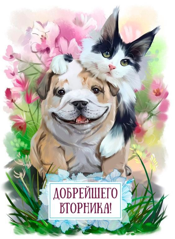 вторникв