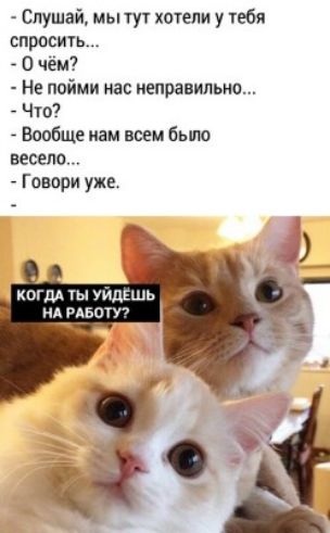Слушай мы ту хотели у паба спросить О чём Не пойми мас неправильнп Чт _ Вообще изм всем было весело Говори уже шдА чидвшь нд пьпгп