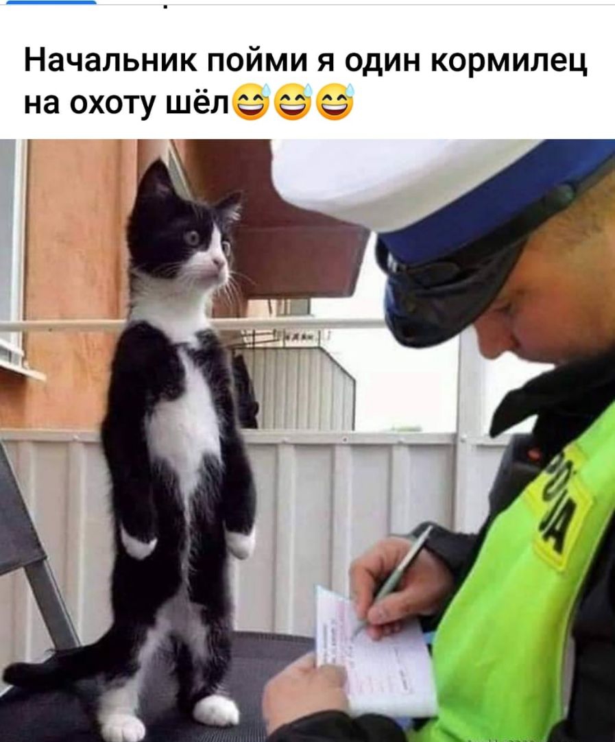Начальник пойми я один кормилец на охоту шёл с с