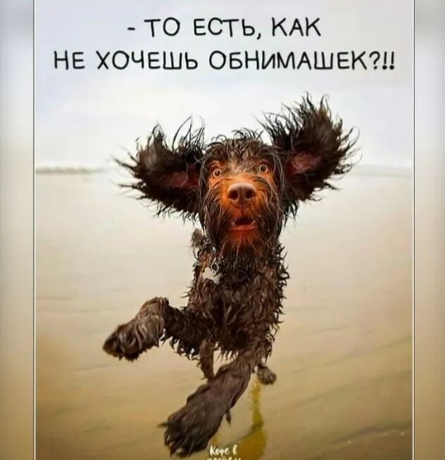 ТО ЕСТЬ КАК НЕ ХОЧЕШЬ ОБНИМАШЕК