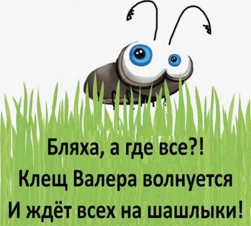 Бляха а где все Клещ Валера волнуется И ждёт всех на шашлыки