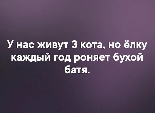 У нас живут З кота но ёлку каждый год роняет бухой батя