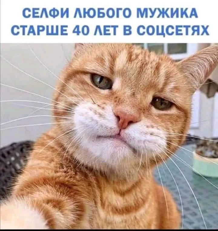 СЕАФИ АЮБОГО МУЖИКА СТАРШЕ 40 АЕТ В СОЦСЕТЯХ