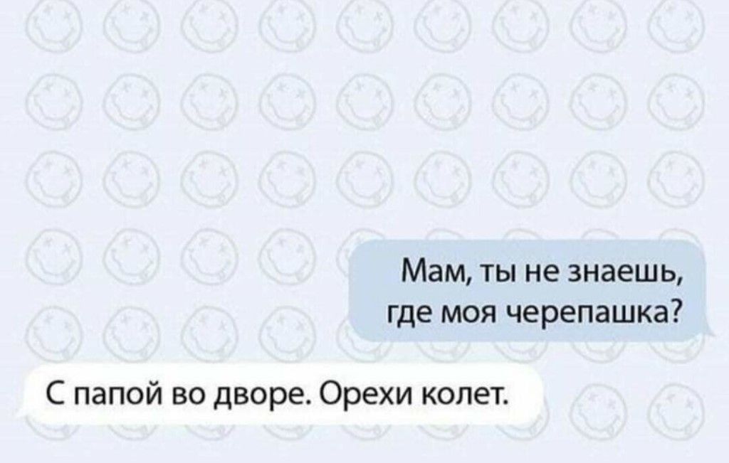Мам ты не знаешь где моя черепашка С папой во дворе Орехи колет