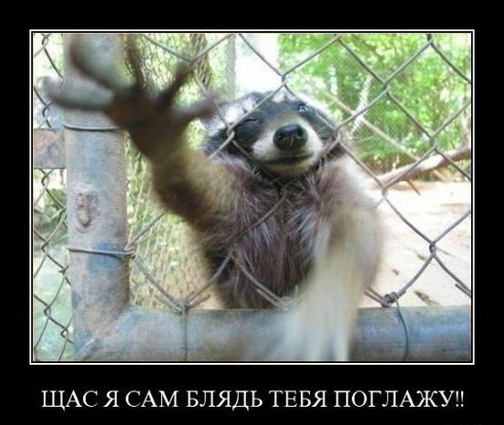 ЩАС Я САМ БЛЯДЬ ТЕБЯ ПОГЛАЖУН