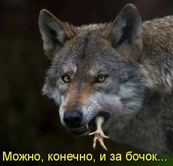 Можно конечно и за бочок