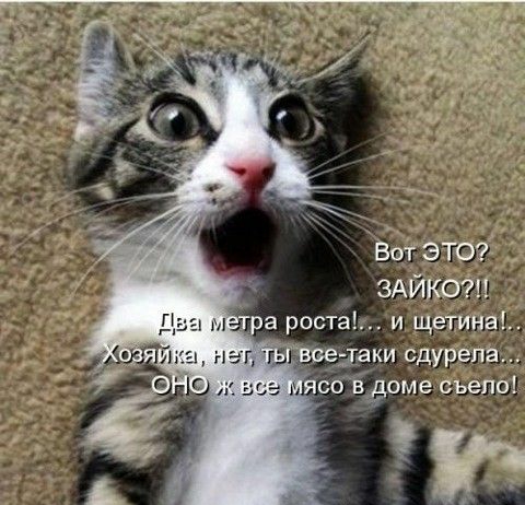 зАйктп