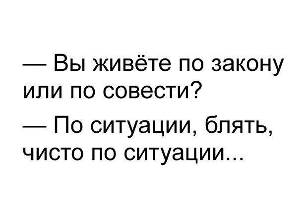 Вы живёте по закону или по совести По ситуации блять чисто по ситуации