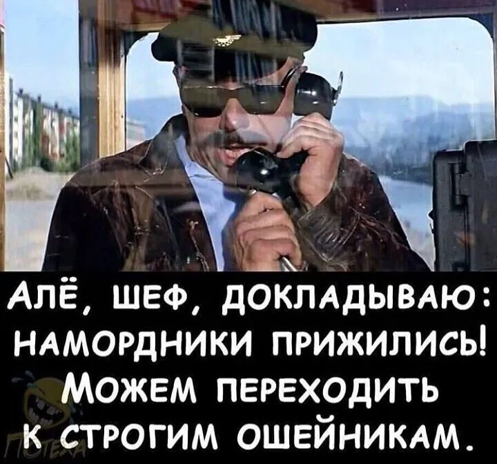 и о ф Алё шеф докмдымю НАМОРДНИКИ прижились Можем переходить к строгим ошейникдм