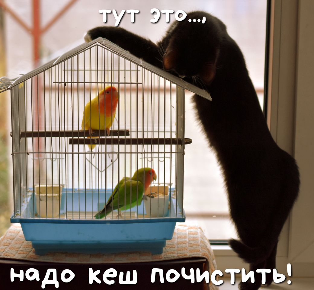 И ПППППППППП тШиш__4ііііі ЪП _ Ё _ __ надо кеш лоции ить