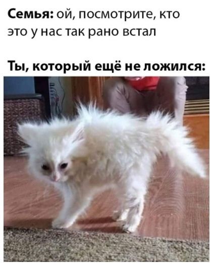 Семья ой посмотрите кто это у нас так рано встал Ты который ещё не ложился
