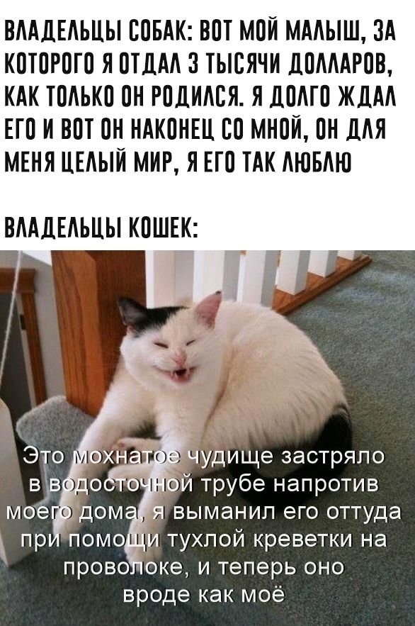 ВААДЕАЬЦЫ ВПБАК ВПТ МПК МААЫШ ЗА КПТПРПГП Я ОТЦА 3 ТЫСЯЧИ ДПМАРПВ КАК ТПАЬКП ПН РПЛИАСЯ Я ДВМП ЖЛАА ЕТП И ВПТ ПН НАКПНЕЦ Ю МНПЙ ПН ДАЯ МЕНЯ ЦЕАЫЙ МИР Я ЕГО ТАК АЮБАЮ ВААДЕАЬЦЫ КПШЕК пр помоци тухлой креветки на прово оке и теперь оно вроде как моё
