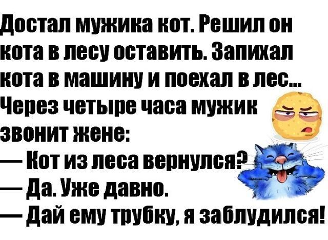 достал мужика нот Решил он кота в лесу оставить Запихал кота в машину и поехал в лес Через четыре часа мужин звонит жене _ Нот из леса ищущий да Уже давно дай ему шубку я заблудился