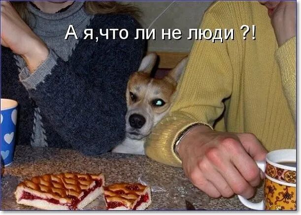 что ли не пизда