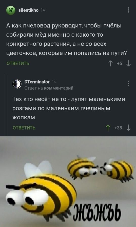 зіівмікію т 1 А как пчеловод руководит чтобы пчёлы собирали мёд именно с какого то конкретного растения а не со всех цветочков которые им попались на пути ОТВЕТИТЬ Т 5 1 ВТегтіпаог Ошо на комментарий ТЕХ КТО НЕСЁТ не ТО ПуПЯТ МЭПеНЬКИМИ РОЗГЗМИ ПО маленьким пчелиным ЖОПКЗМ ОТВЕТИТЬ і 38