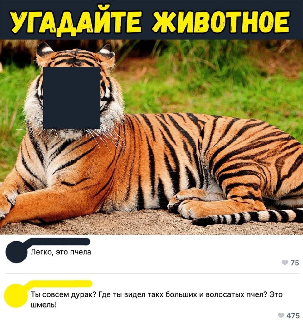 Ты совсем дурак Где ты видел такх больших и волосатых пчел Это шмель