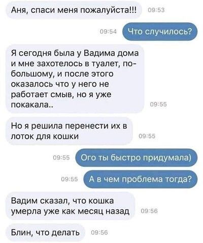 Аня спаси меня пожалуйста 09 53 из в ЧТО случилось Я сегодня была у Вадима дома и мне захотелось в туапег по большому и после этого оказалось что у него не работает смыв но я уже ппкакапа 55 Но я решила перенести их в лоток для кошки 09 55 на на Ого ты быстро придуманы 0955 А в чем проблема гогда вадим сказал что кишка умерла уже как месяц назад он за Блин что делать ов 55