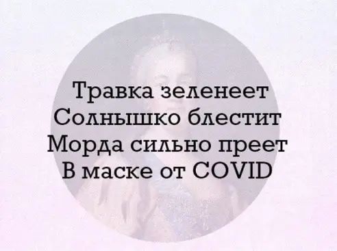 Травка зеленеет Солнышко блестит Морда сильно преет В маске от СОЧИ