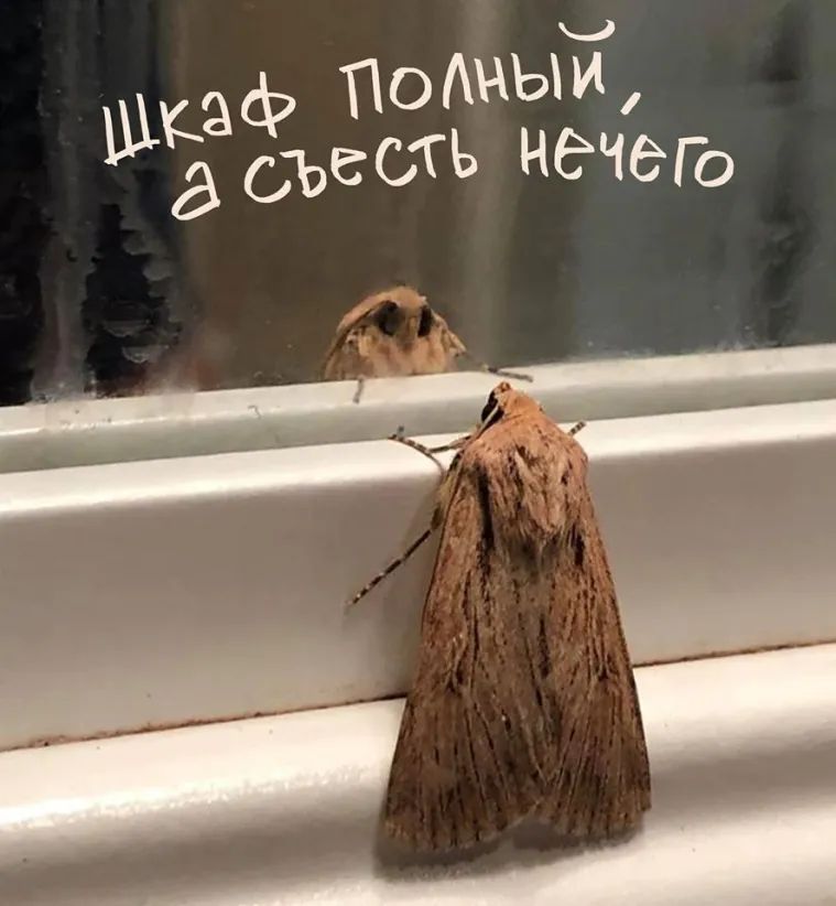 Шкаф По ЬГИ