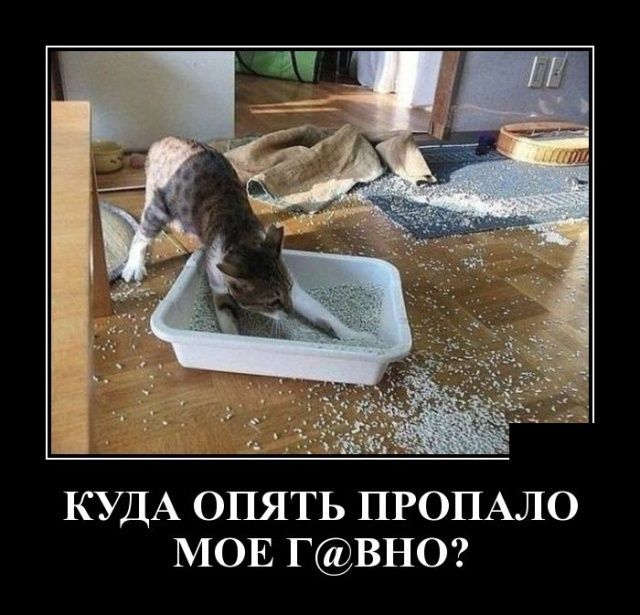КУДА ОПЯТЬ ПРОПАЛО МОЕ ГВНО