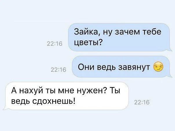 Зайка ну зачем тебе цветы Они ведь завянут б А нахуй ты мне нужен Ты ведь сдохнешь ю