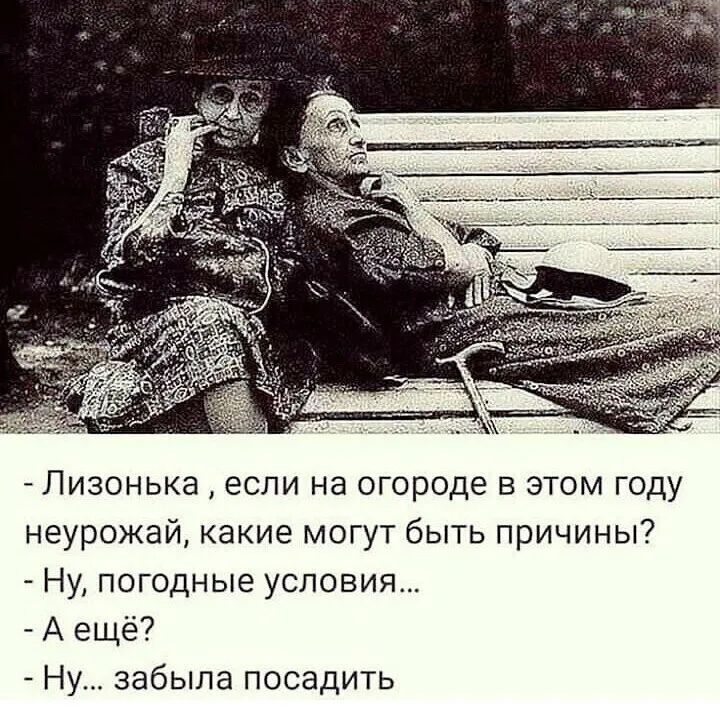 Лизоныа если на огороде в этом году неурожай какие могут быть причины Ну погодные условия А ещё Ну забыла посадить