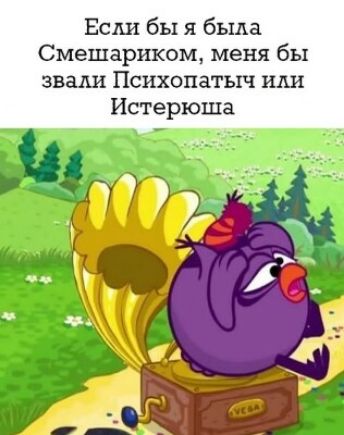 Если бы я была Смешариком меня бы звали Пснхопатыч или Истерюша
