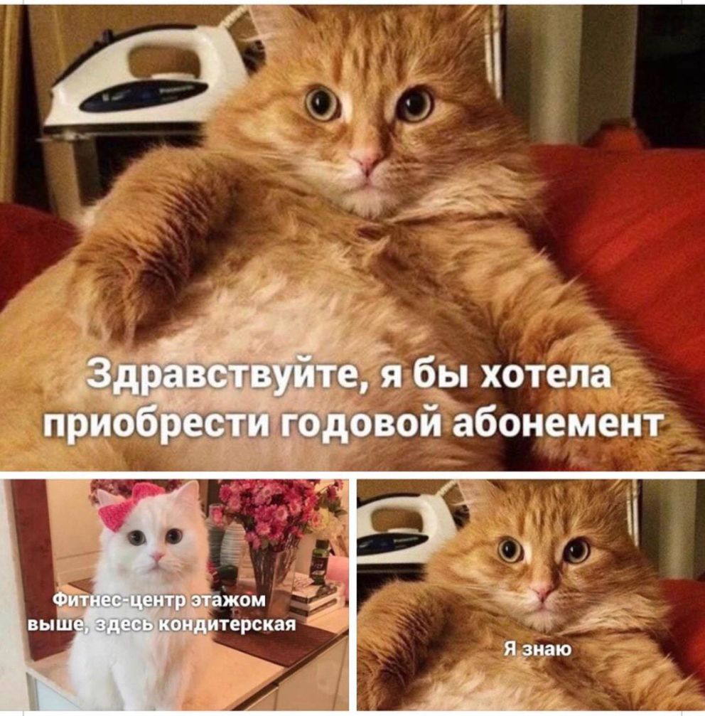 ё я бы хотела _овой абонемент