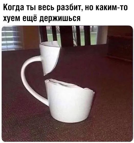 Когда ты весь разбит на каким тп хуем ещё держишься пт пч Чай
