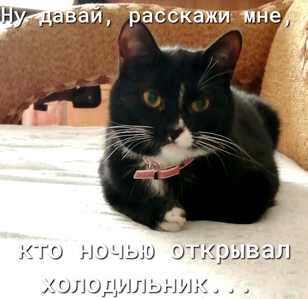 Н давай закажи 9 У 0 НОЧЬЮ ОГ_ГЫВЕЛ