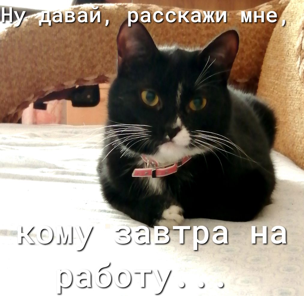 кому зав гра работу Н Е