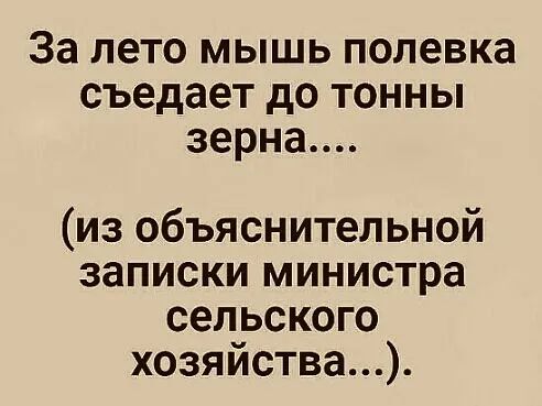 За лето мышь полевка съедает до тонны зерна из объяснительной записки министра сельского хозяйства