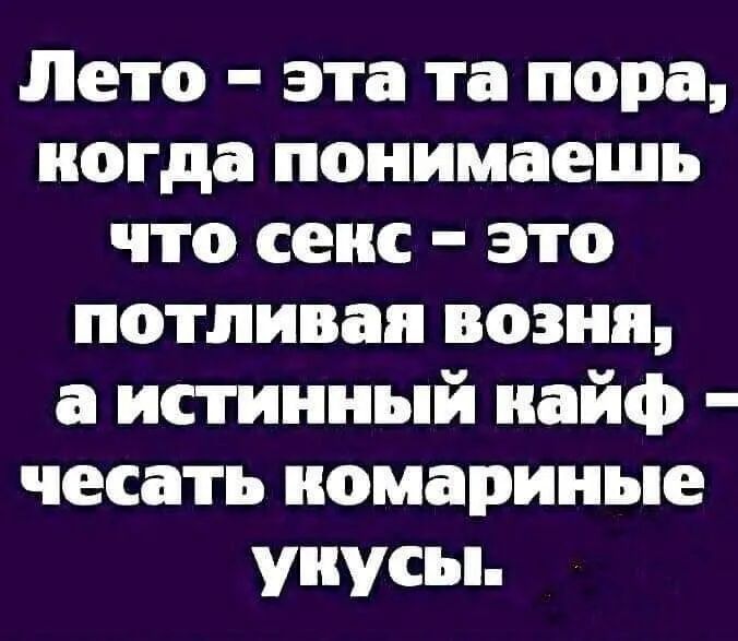 Лето эта та пора ногда понимаешь что сенс это потливап возня а истинный найф чесать номариные унусы